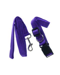 Dog Collar And Leash Size L