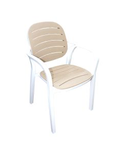 Plastic Chair With Armrest T9CT023-WH/BG