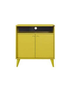 Multi-purpose Cabinet With 2 Doors ADR-220-YY-1